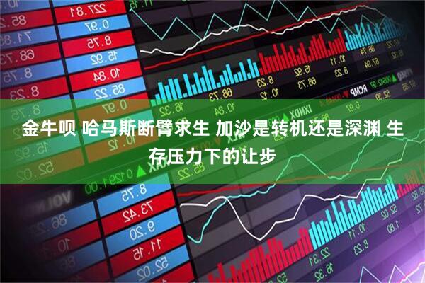 金牛呗 哈马斯断臂求生 加沙是转机还是深渊 生存压力下的让步
