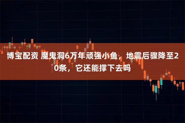 博宝配资 魔鬼洞6万年顽强小鱼，地震后骤降至20条，它还能撑下去吗