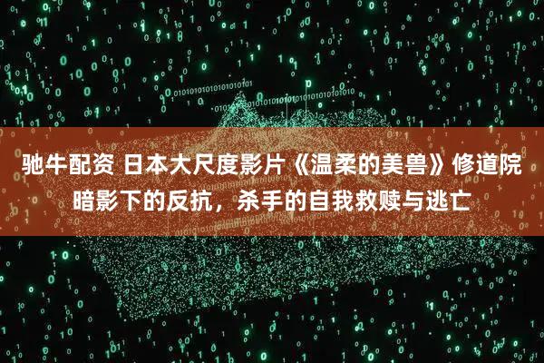 驰牛配资 日本大尺度影片《温柔的美兽》修道院暗影下的反抗，杀手的自我救赎与逃亡